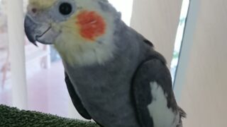 スマイル